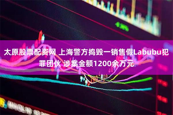 太原股票配资网 上海警方捣毁一销售假Labubu犯罪团伙 涉案金额1200余万元